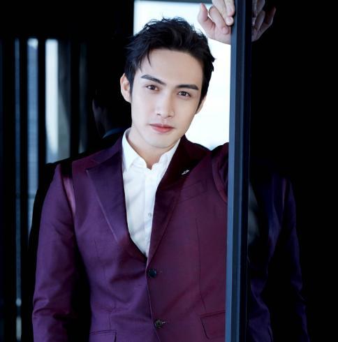 啥彬彬明星,闪耀舞台的璀璨之星