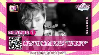 娱目八卦雏妓,揭秘雏妓背后的残酷真相