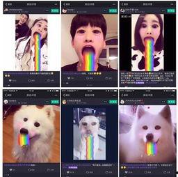 拍照搞笑软件口吐彩虹,拍照搞笑软件带你开启欢乐时光