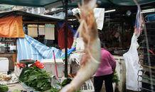 哆嗦图片,捕捉生活中的趣味瞬间