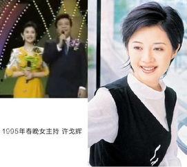 娱乐女主持短发造型