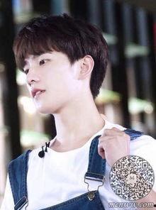 女歌手杨洋个人资料,音乐之声中的璀璨星辰，女歌手的璀璨人生